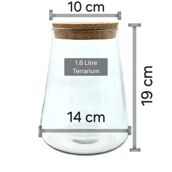 Diy Moss Terrarium Kit Glass Biodome With Live Plants, 3 of 9