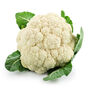 Cauliflower 'Maystar' Six X Plug Plant Pack, thumbnail 1 of 5