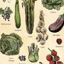 Seasonal Fruit And Vegetable Poster, UK Version, thumbnail 4 of 6