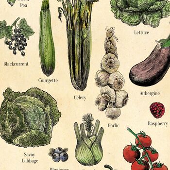 Seasonal Fruit And Vegetable Poster, UK Version, 4 of 6
