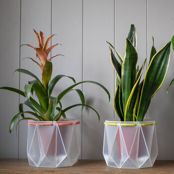 Two Origami Self Watering Eco Plant Pots, 8 of 12