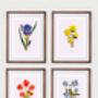 Tulipa Botanical Eco Print One Print = One Tree, thumbnail 5 of 6