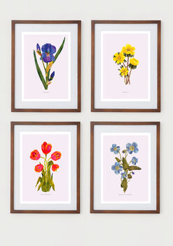Tulipa Botanical Eco Print One Print = One Tree, 5 of 6