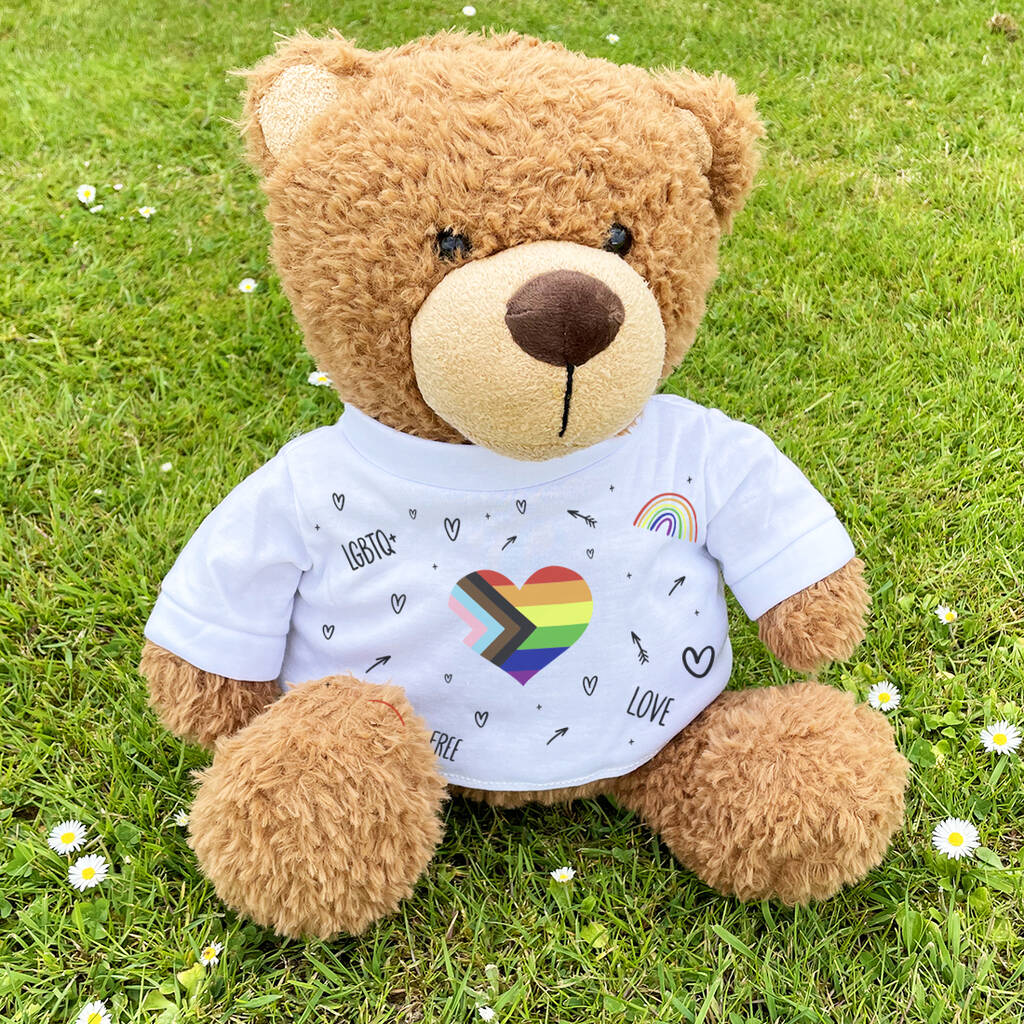 Progress Pride Lgbtq+ Large Teddy Bear With T Shirt By Love Lumi Ltd