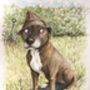 Personalised Pet Portrait Illustration, thumbnail 2 of 10