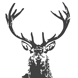 Shindigg logo, STAG, SCOTLAND