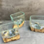 10cm Molten Glass Square Bowl On Teak Root Base, thumbnail 10 of 12