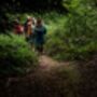 Forest Bathing Experience For One In Kent, thumbnail 4 of 5