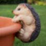 Indoor/Outdoor Detailed Hedgehog Pot Hanger, thumbnail 1 of 4