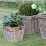 Square Lined Rattan Planter With Rope Handle, thumbnail 3 of 3