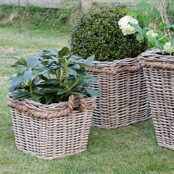 Square Lined Rattan Planter With Rope Handle, 3 of 3