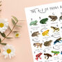 The A To Z Of Frogs And Toads Print, thumbnail 5 of 6