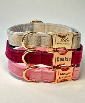 Personalise Pet Gift Dog Collar With Engrave Name, 3 of 3