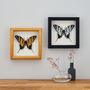Personalised Papercut 3D Butterfly Framed Print Gift, thumbnail 6 of 9