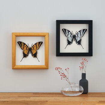 Personalised Papercut 3D Butterfly Framed Print Gift, 6 of 9