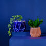 Origami Self Watering Eco Plant Pot: 15cm | Navy, thumbnail 7 of 7
