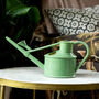 Terracotta Houseplant Pot And Watering Can Gift Set, thumbnail 2 of 3