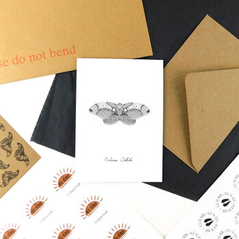 Owl Moth A6 Greetings Cards, 4 of 7