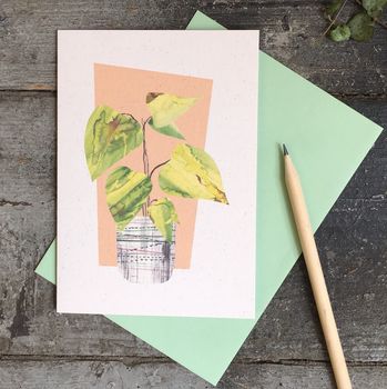 House Plant Notelet Gift Set, 3 of 5