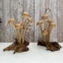 Assorted Wooden Mushroom Forest On Teak Root Wood, thumbnail 3 of 12