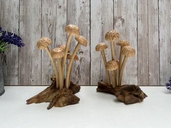Assorted Wooden Mushroom Forest On Teak Root Wood, 3 of 12