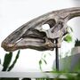 Large Hand Painted Parasaurolophus Skull Dinosaur Sculpture Museum Quality 3D Resin Fossil Model On Black Metal Stand, Statement Home Decor, thumbnail 2 of 4