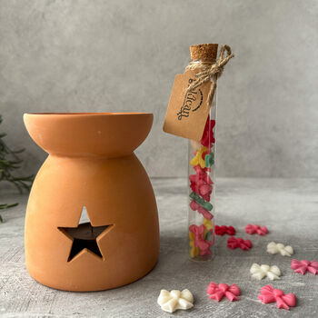 Terracotta Wax Melter And Wax Melt Gift Set, 5 of 5