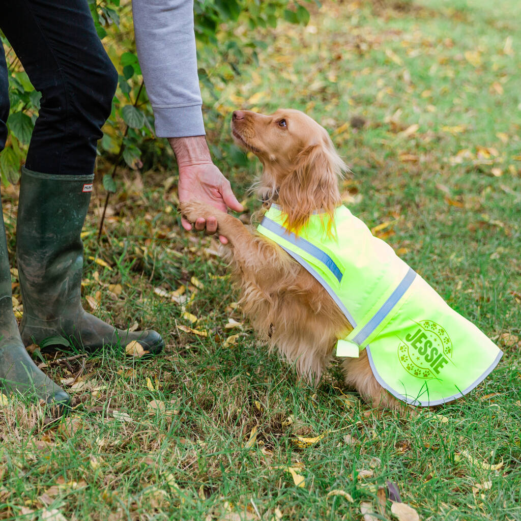 Personalised Reflective Dog Safety Coat / Vest / Jacket, 1 of 12