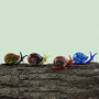 Set Of Four Hand Blown Glass Snail Ornaments | Gift Boxed | Decoration | Collectable | Gift For Home, thumbnail 1 of 3