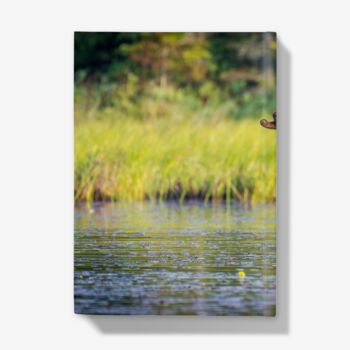 A5 Hardback Notebook Featuring A Canadian Bull Moose, 4 of 4