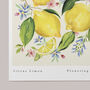 Citrus Limon Art Print, thumbnail 3 of 5