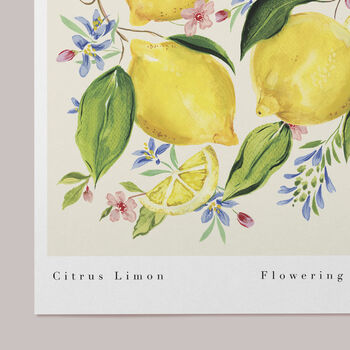 Citrus Limon Art Print, 3 of 5