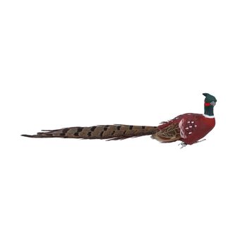 Feather Pheasant Bird Decoration, 2 of 2