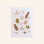 Autumn Special Forest Finds Children's Art Print, thumbnail 2 of 4