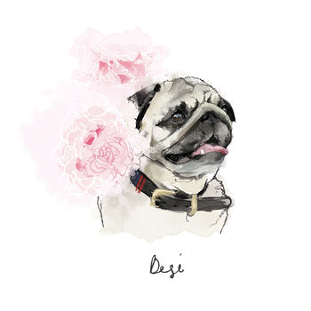 Personalised Illustrated Pet Portrait, 2 of 12