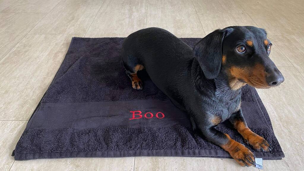 Personalised Dog Pets Large Cotton Towel, 1 of 12