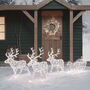 Arkendale Dual LED Plug In Reindeer And Sleigh, thumbnail 2 of 3