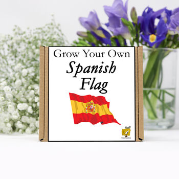 Gardening Gift. Grow Your Own Spanish Flag, 2 of 4