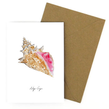 Conch Shell A6 Greetings Cards, 6 of 7