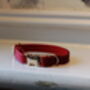 Tiny Puppy Red Velvet Collar Gold Buckle, thumbnail 1 of 2
