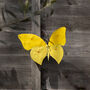 Recycled Metal Wall Butterflies, thumbnail 3 of 5