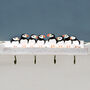 Puffin Four Hook Key Rack, thumbnail 1 of 3