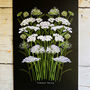 Wildflower Illustrated Postcards, thumbnail 5 of 9