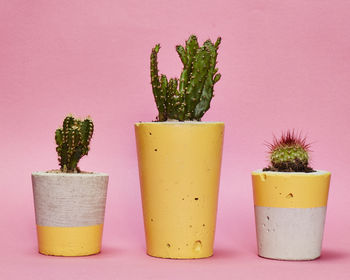 Concrete Pot Small With Cactus/ Succulent In Yellow, 3 of 5
