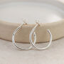 Sterling Silver Everyday Hoops, thumbnail 1 of 5