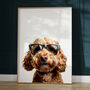 Cockapoo In Sunglasses Print, thumbnail 3 of 8