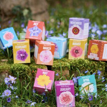 Birth Flower, Bucket And Notebook Gift, 5 of 5