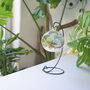 Diy Air Plant Terrarium Kit Hanging Terrarium Gift Light Blue, thumbnail 1 of 6