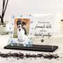 Dog Memorial Photo Keepsake With Butterfly's And Blue Floral's Design, thumbnail 1 of 2