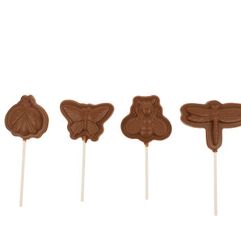 Make Your Own Bugs Chocolate Lolly Kit, 4 of 5